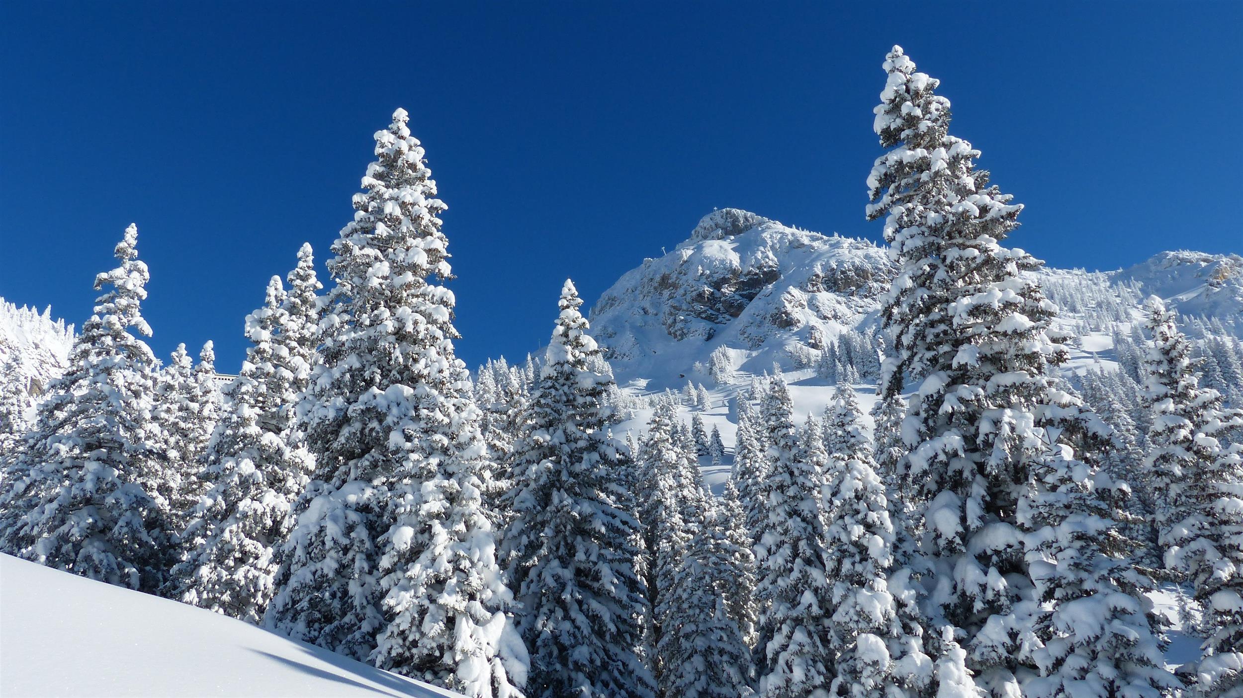 Snowy  Mountain